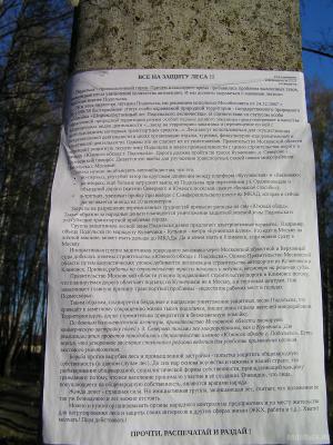 Листовка в лесу 