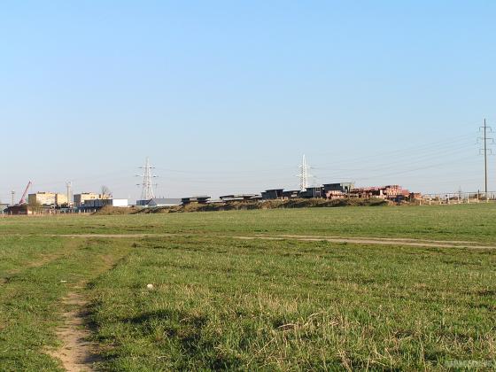 Поле в Сергеевке 