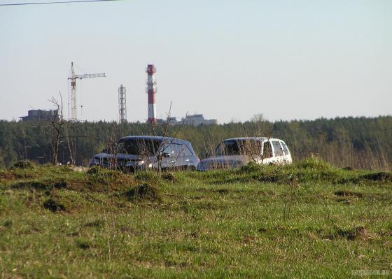 Поле в Сергеевке 