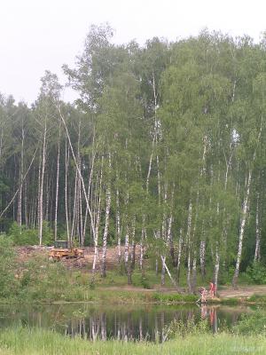 В районе Сергеевки 7 июня 2014 г. 