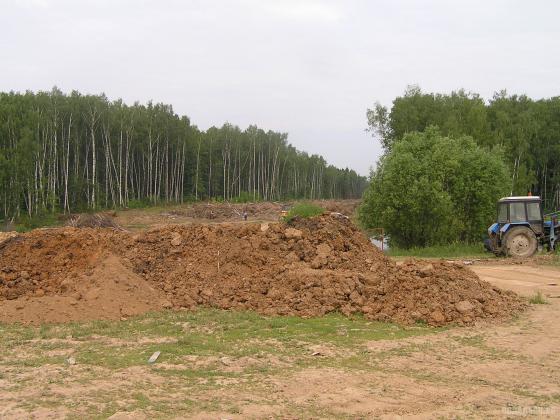 Просека в районе Сергеевки 7 июня 2014 г. 
