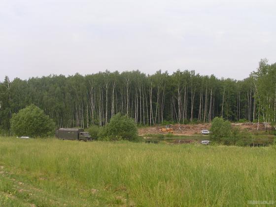 Просека в районе Сергеевки 7 июня 2014 г. 