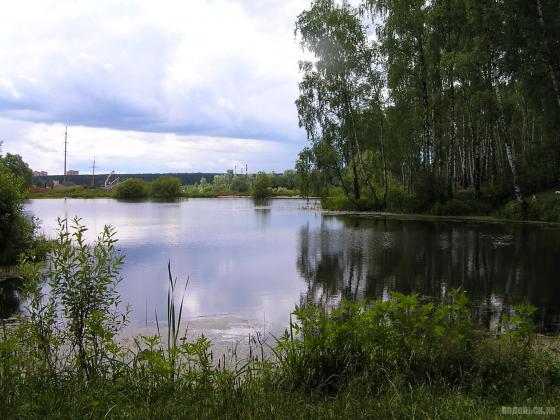 Водоем у Сергеевки 