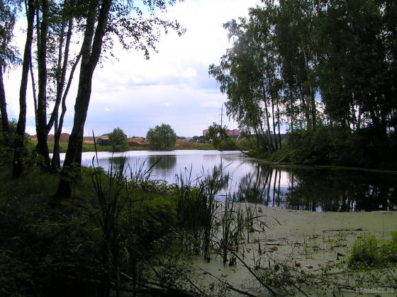 Водоем у Сергеевки 