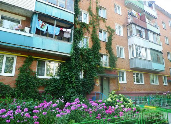 Плющ во дворе дома на Б. Ивановской
