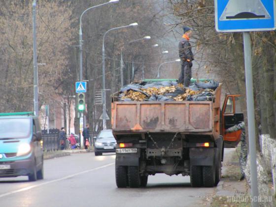 Вывоз листвы 