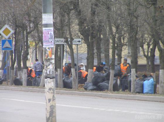 Сбор листвы 
