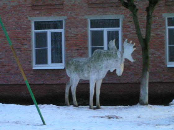 Лось в детском саду 