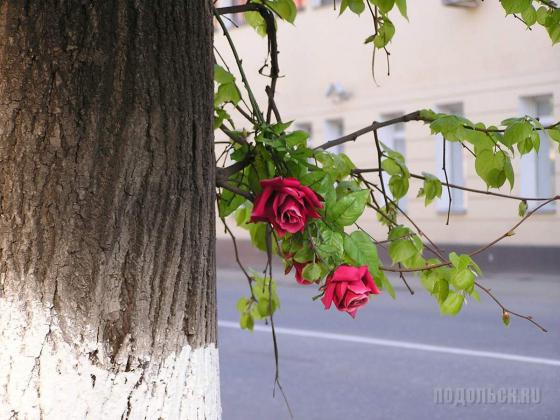 Послепраздничное... 