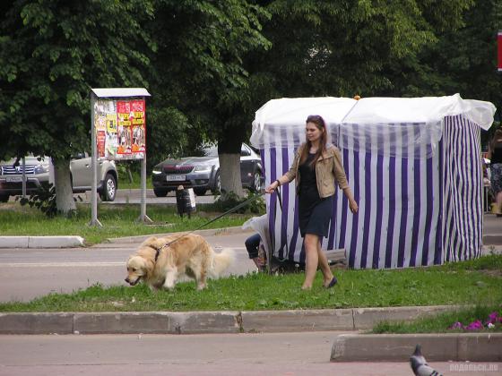 На прогулке 