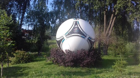 Мяч в деревне Ерино