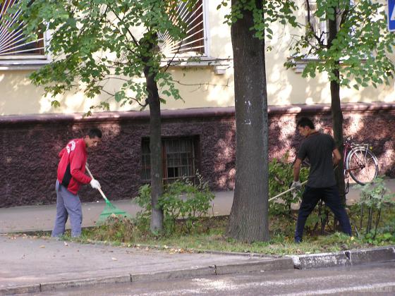 Уборка листвы в августе 