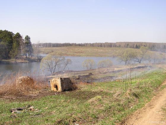 Петрица у Сергеевки 