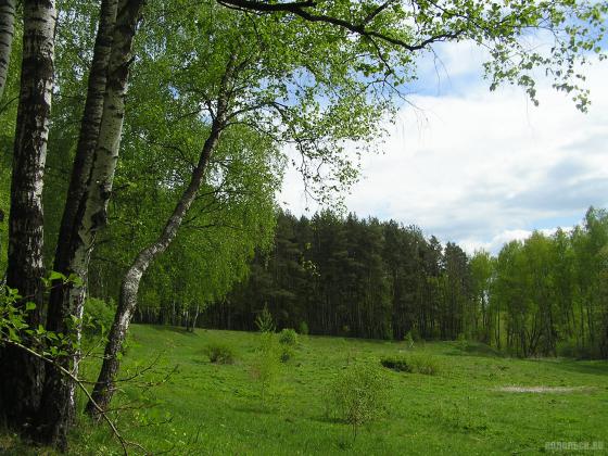 На первой горке