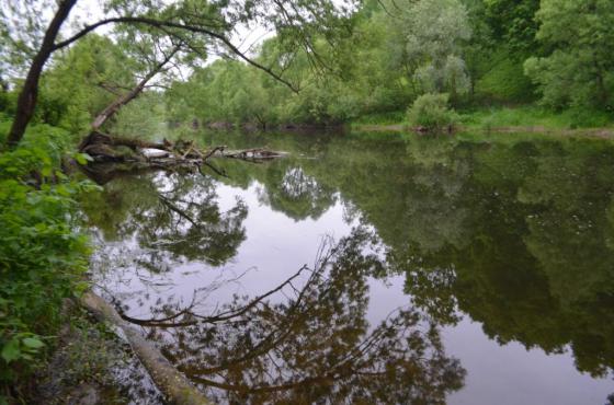 Река Пахра  за с. Лемешово. 