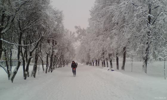 На Симферопольской аллее после снегопада. 31 января 2018 
