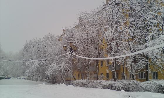 На Симферопольской аллее после снегопада. 31 января 2018 