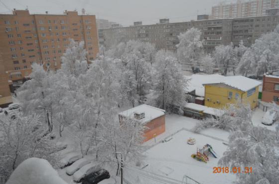 "Снегопад века" в  Подольске 