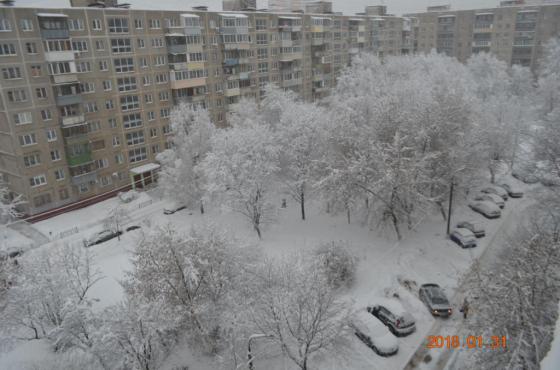 Снегопад века в  Подольске 
