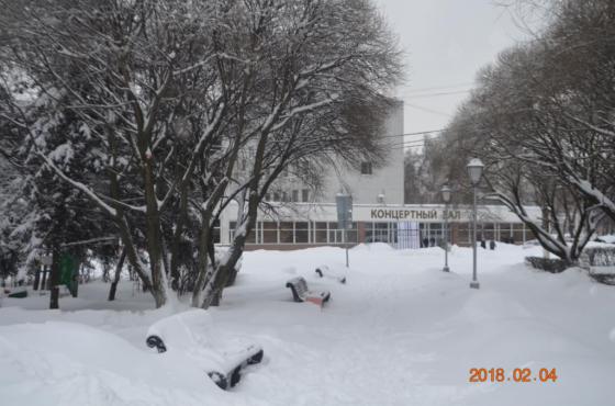 Снегопад века в Подольске 