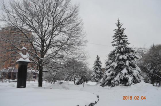 Снегопад века" в  Подольске 