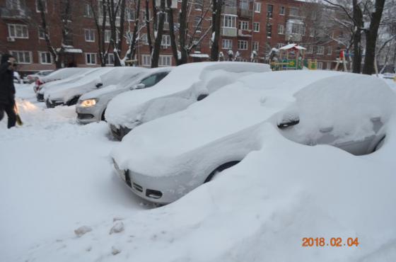 Снегопад века" в  Подольске 