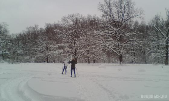 Лыжня на Весенней 11 февраля 2018 г. 