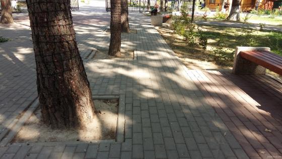 Парк "Дубрава". Сентябрь 2018 