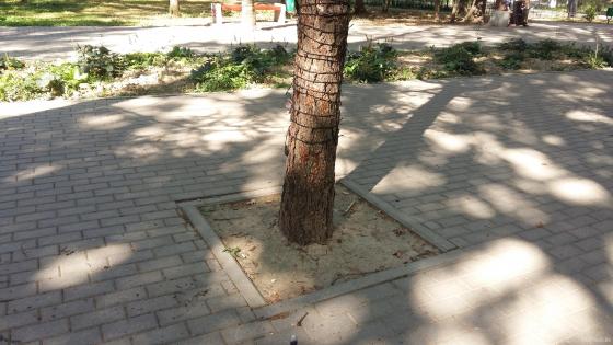Парк "Дубрава". Сентябрь 2018 