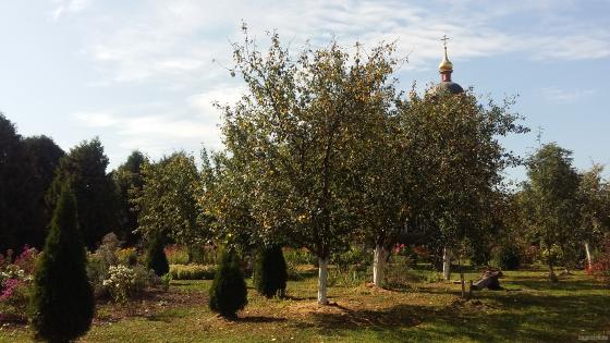 Храм Воскресения Словущего. Село Сертякино. Сентябрь 2018  