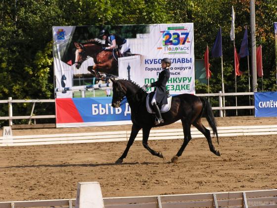 Кубок главы Подольска по конкуру и выездке. 22.09.18