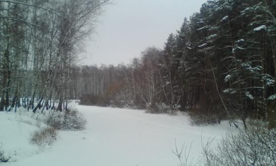 Водоем у Леспроекта. 12.2018 