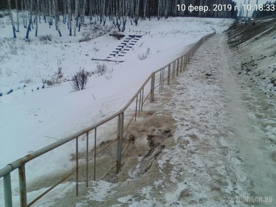 У старого кладбища в Сергеевке. 10.02.2019 