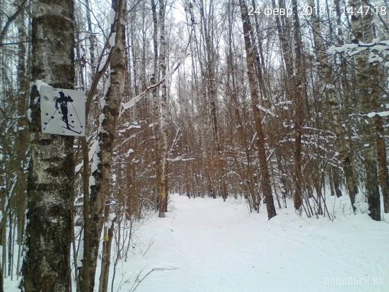 Лыжная трасса у д. Бородино. 02.2019 