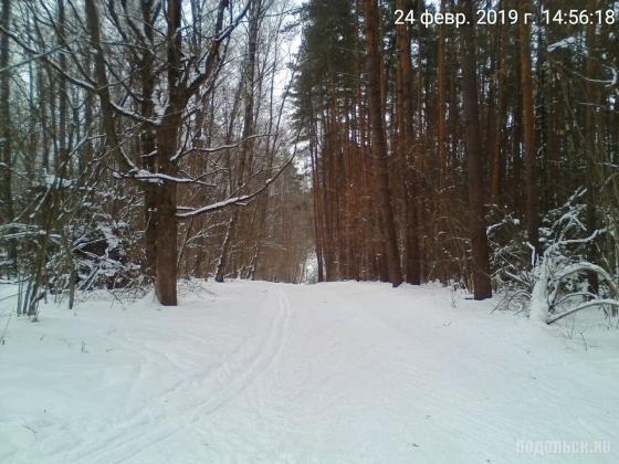 Лыжная трасса у д. Бородино. 02.2019