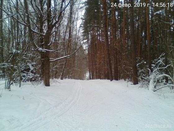 Лыжная трасса у д. Бородино. 02.2019