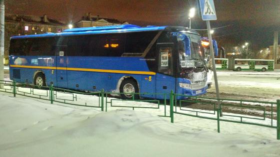 Автобус 1036 Доматрансавто, "Голден Дрэгон". 03.2019 