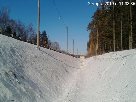 Ров со стороны д. Северово. 02.2019 