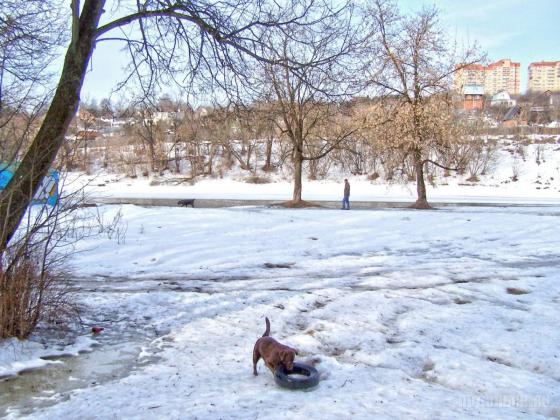 Животные в парке 