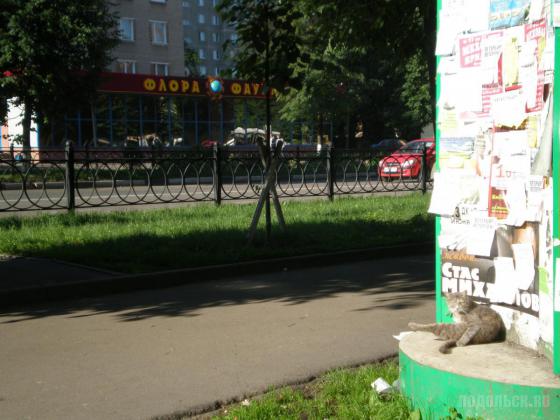 Подольск, "Флора-фауна" 