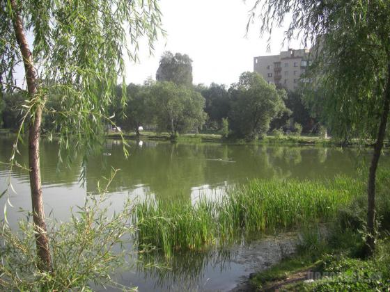 VIII фестиваль Цветы Подмосковья 2010 