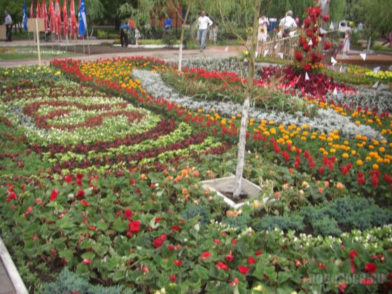 VIII фестиваль Цветы Подмосковья 2010 