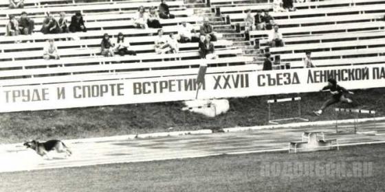 1985 г. Подольск, Чемпионат СССР по служебному собаководству 
