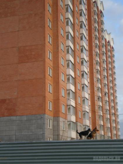 Подольск, Тепличная, 22 