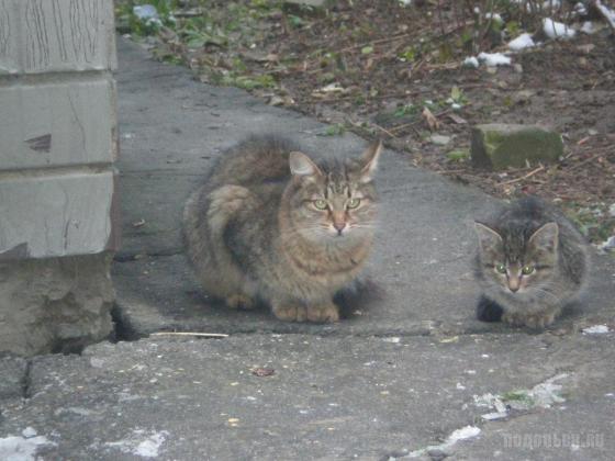 На улице Свердлова 