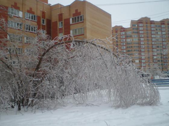 Подольск, улица Подольская. После ледяного дождя 