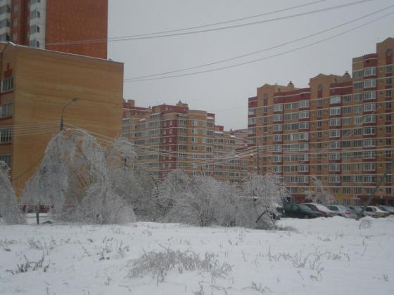 Подольск, улица Подольская. После ледяного дождя 