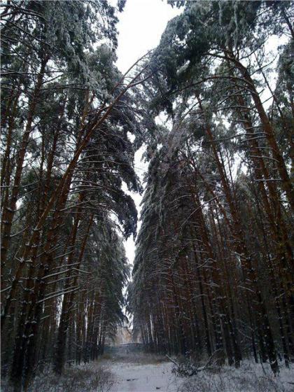 Подольск, микрорайон "Южный",  26.12.2010 