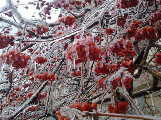 Подольск, микрорайон "Южный",  26.12.2010 