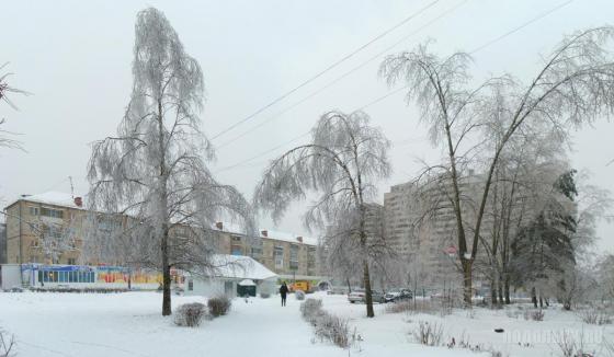 Последствия ледяного дождя 26.12.2010